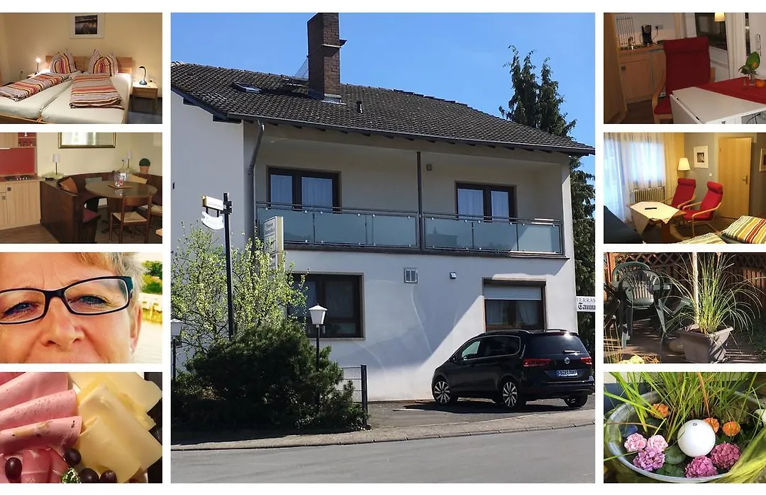 Pension Taunusblick Ferienwohnung und Apartment-1