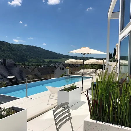 Weingut-Aparthotel Olinger-3