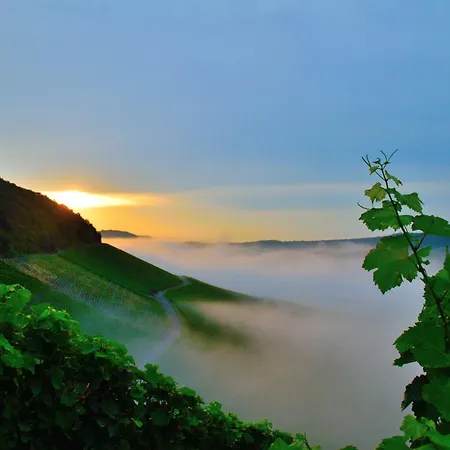 Winzerhof Düring-3